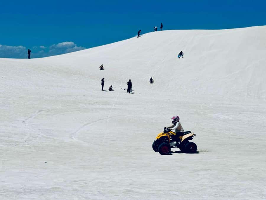 Perth: Pinnacles Stargazing, Sandboarding & Beach Kangaroos - Who should book this experience