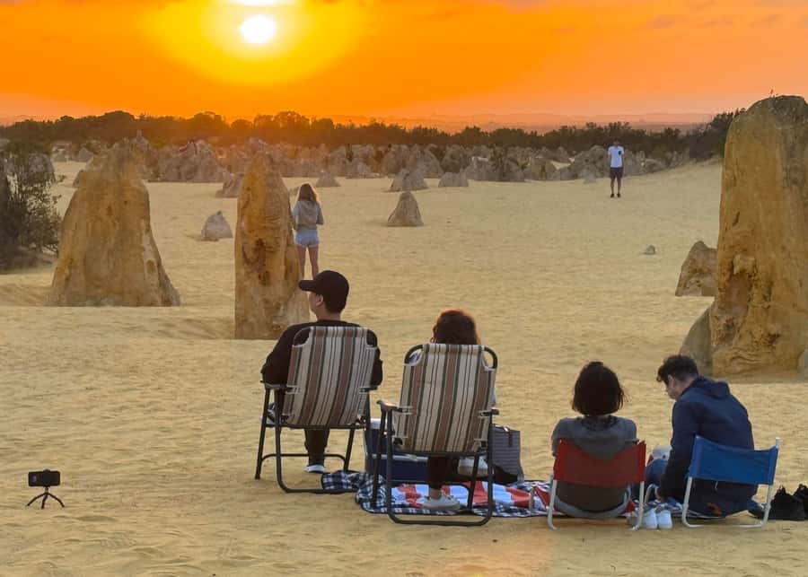 Perth: Pinnacles Stargazing, Sandboarding & Beach Kangaroos - Why this Perth day trip packs in so much