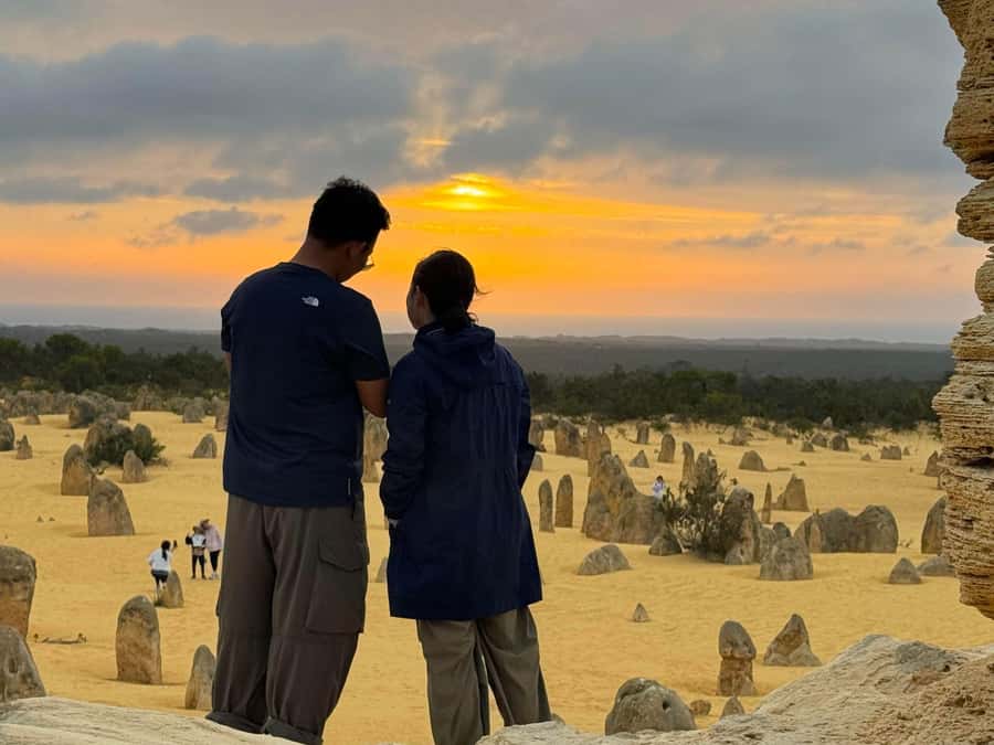 Perth: Pinnacles Stargazing, Sandboarding & Beach Kangaroos - How the value works without a listed price