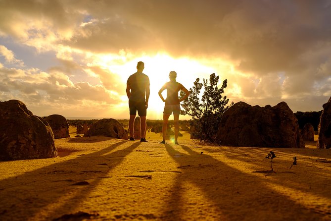 Pinnacle Desert Sunset and Night-time Stargazing Tour from Perth - Yanchep National Park: koalas and kangaroos