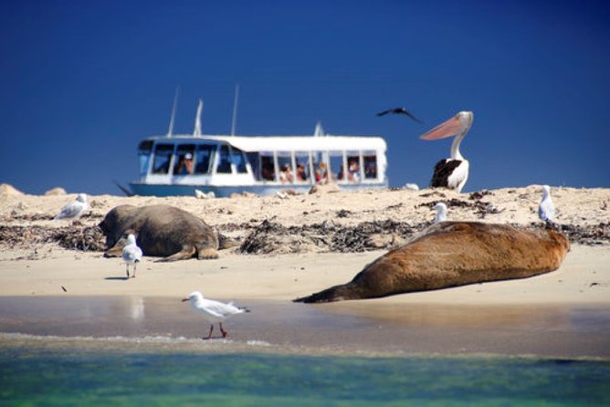 Pinnacle Desert Sunset and Night-time Stargazing Tour from Perth - Who should book this tour?