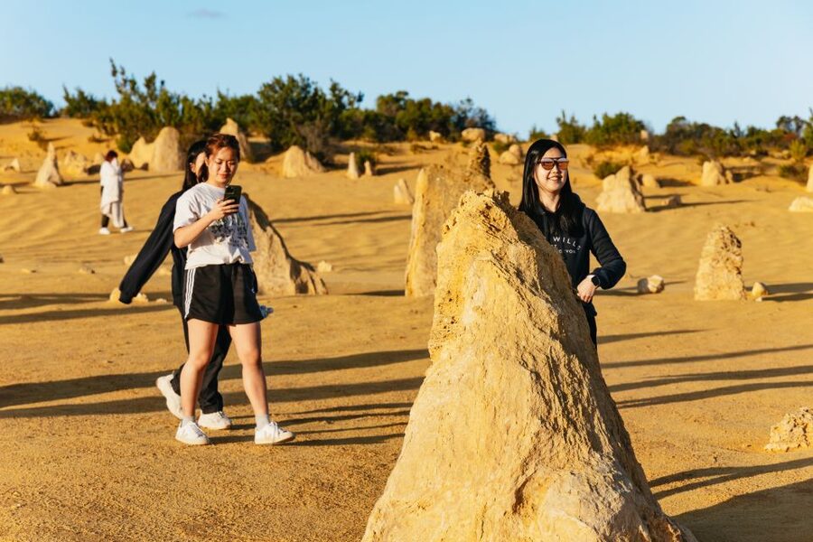 Pinnacles Desert: Sunset BBQ & Stargazing Tour +Sandboarding - Is the $176 price good value?