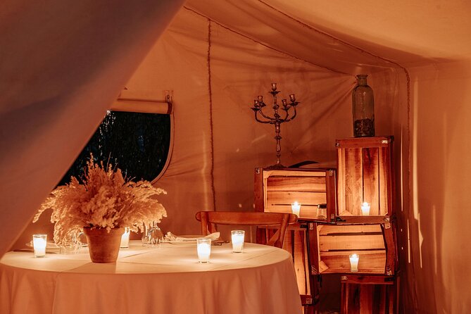 Private Dinner under the Stars & entertainment and Dromedary in Agafay - Should you book this private dinner?