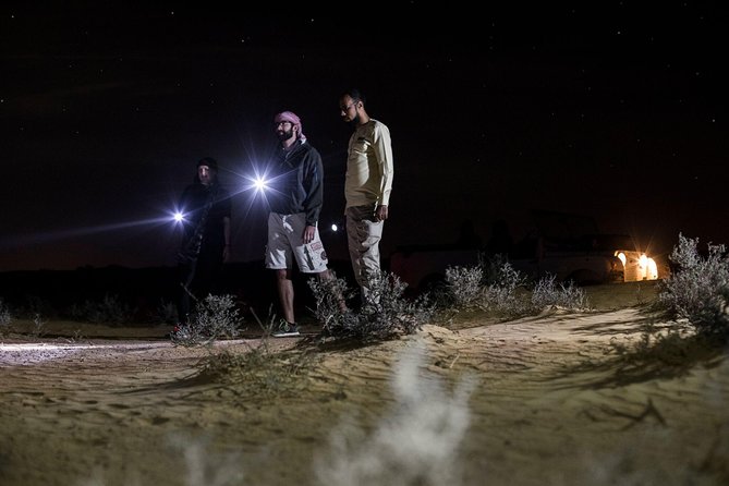 Private Night Vintage Land Rover Desert Safari & Stargazing - Dinner at a royal desert retreat