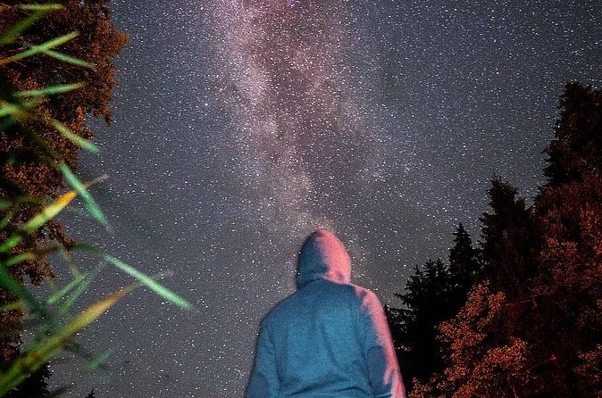 Private Stargazing - Sequoia National Park - A strong family choice, with one practical caveat