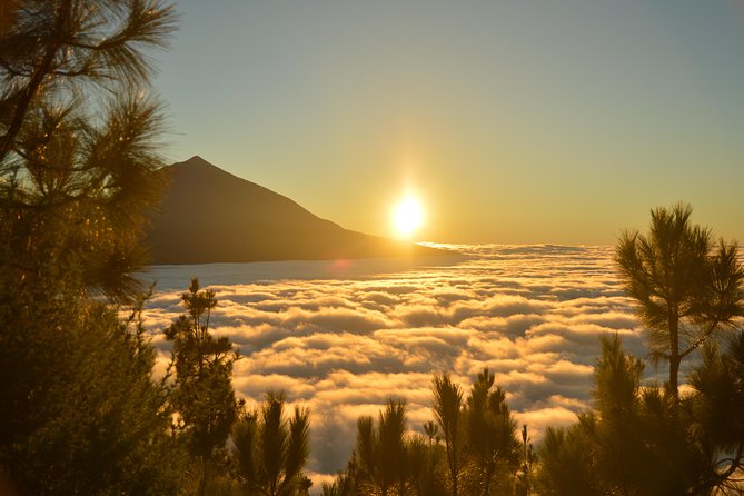 PRIVATE TOUR Teide National Park: Hiking and Stargazing - Pickup, timing, and what to pack