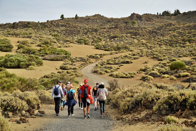 PRIVATE TOUR Teide National Park: Hiking and Stargazing - A sunset with Canarian wine and chocolate