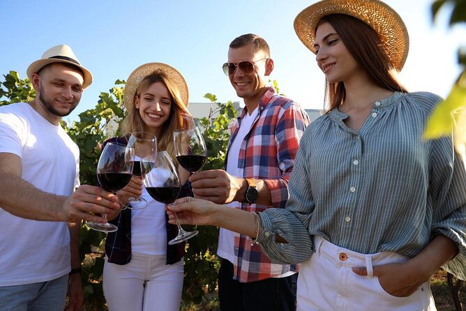 Private Vineyard Tour with Dinner Under the Stars in Karnas - Important booking details before you pay