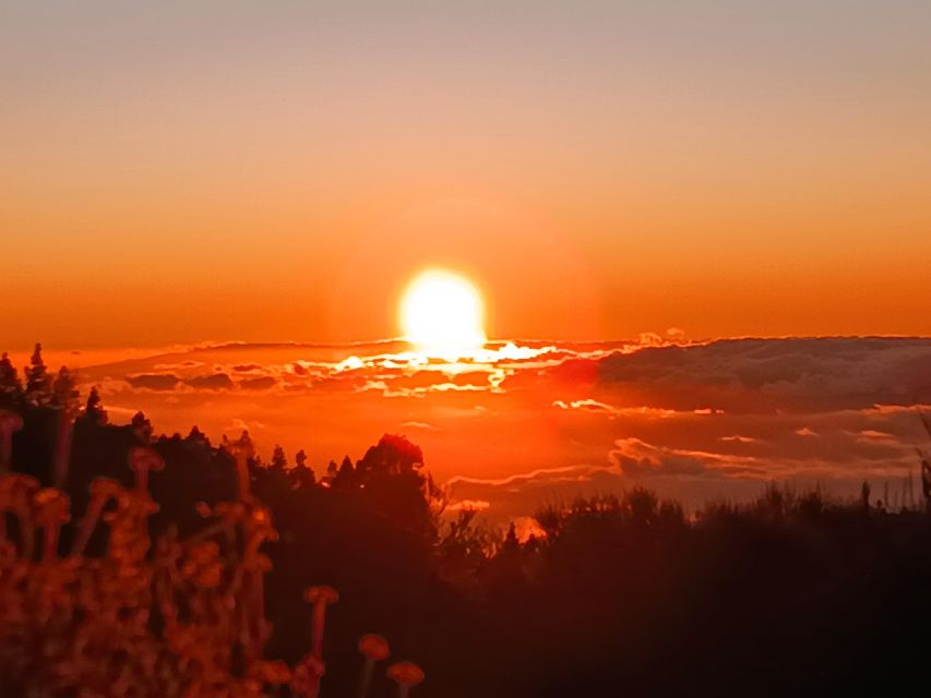 Puerto Cruz: VIP Teide Sunset & Stars, Guachiche Lunch+Cava - Four volcanic viewpoints, each with a different mood