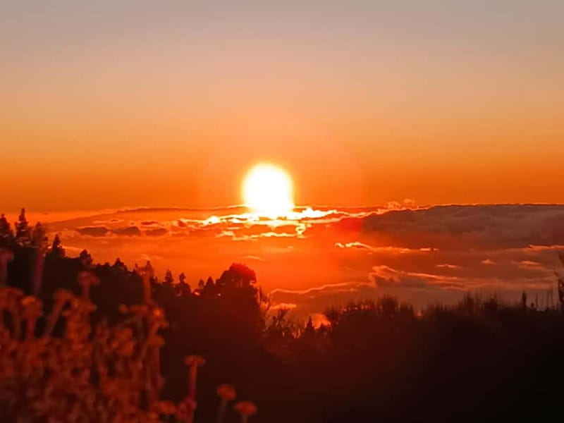Puerto Cruz: VIP Teide Sunset & Stars, Guachiche Lunch+Cava - Sunset at Mirador El Retamar