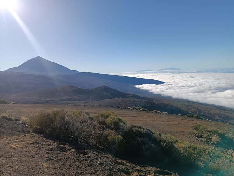 Puerto Cruz: VIP Teide Sunset & Stars, Guachiche Lunch+Cava - Stargazing in Teide National Park