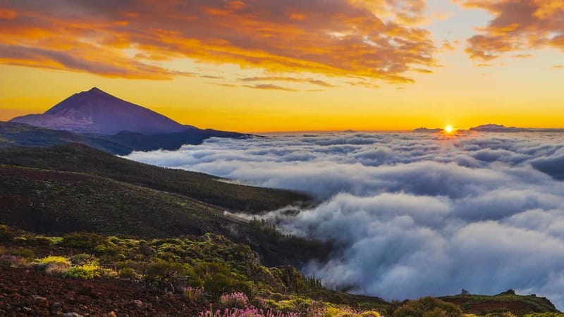 Puerto Cruz: VIP Teide Sunset & Stars, Guachiche Lunch+Cava - What $112 buys you