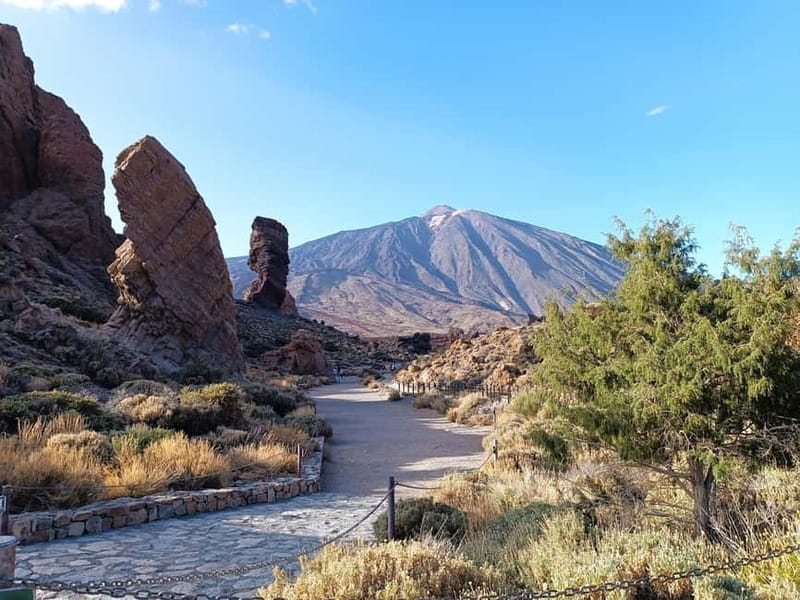 Puerto Cruz: VIP Teide Sunset & Stars, Guachiche Lunch+Cava - Lunch at Guachinche El Cubano