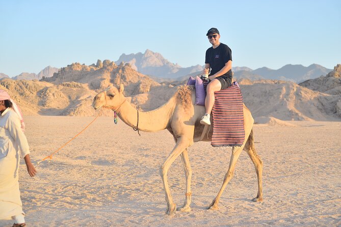 Quad Bike, Jeep, Camel, Sunset, Dinner and Stargazing in Hurghada - Camel riding and the slower side of the desert