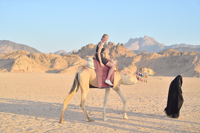 Quad Bike, Jeep, Camel, Sunset, Dinner and Stargazing in Hurghada - Dinner with a broad Egyptian-style menu