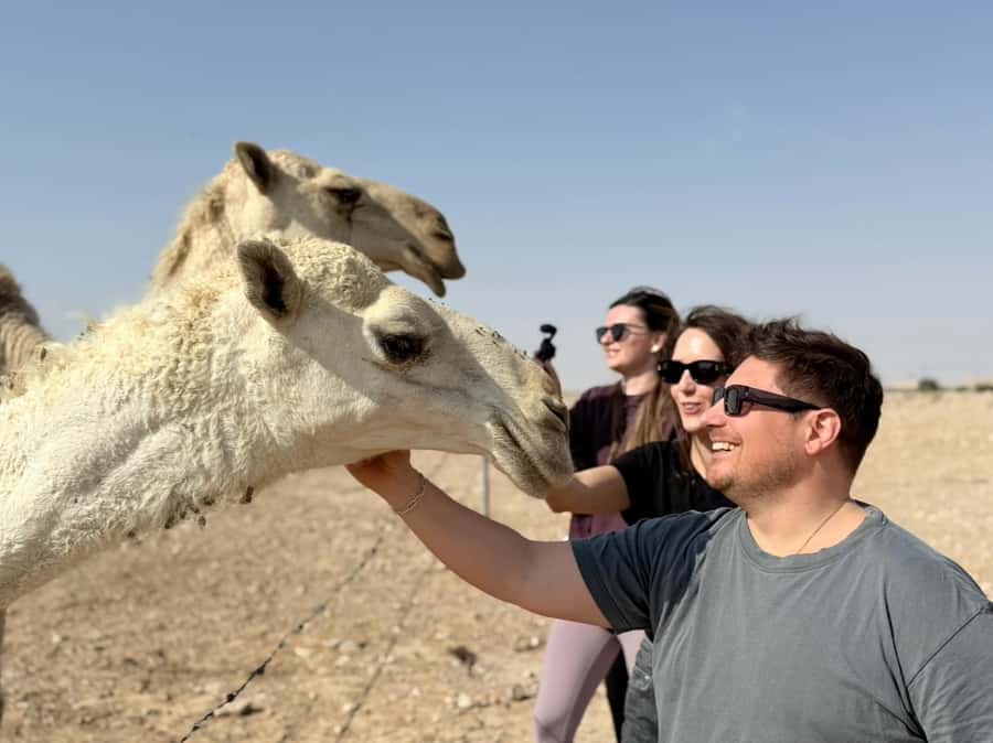 Riyadh: Edge Of The World, camels &Stargazing with 4x4 - Sunset is the emotional high point