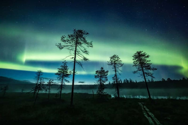 Rovaniemi: Horse Sleigh Ride under the Night Sky - Riding 3 kilometers through snowy forest