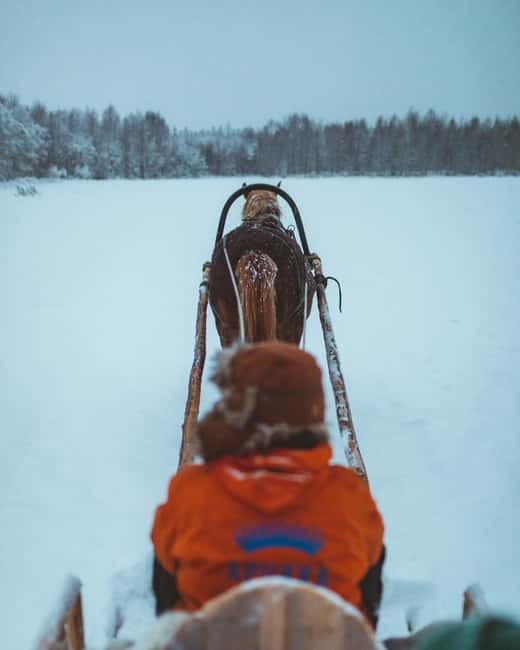 Rovaniemi: Horse Sleigh Ride under the Night Sky - A bonfire, wooden cups, and simple food
