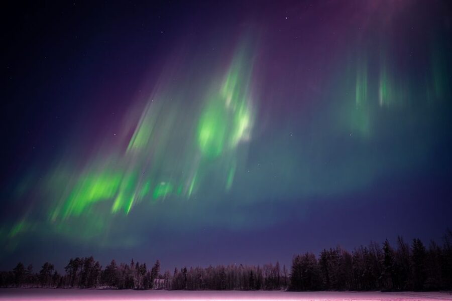 Rovaniemi: Night Sky lappish Barbecue - Is $117 a fair price?