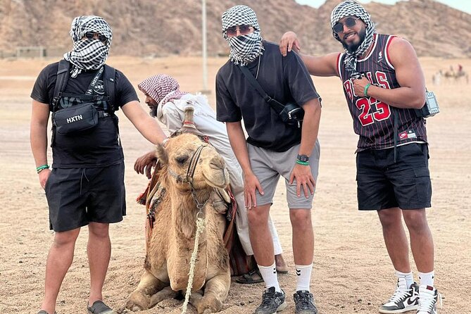Safari 5 in 1 Quads, Camels, Show, Dinner & Star Gazing in Sharm El Sheikh - A packed Sinai evening for about $51