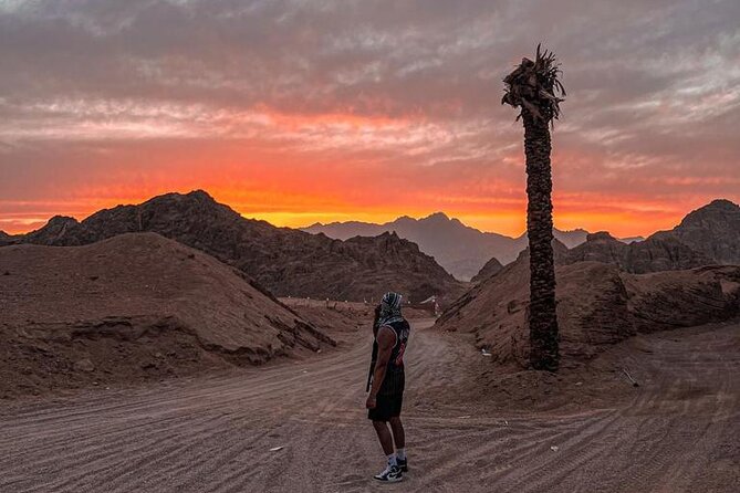Safari 5 in 1 Quads, Camels, Show, Dinner & Star Gazing in Sharm El Sheikh - BBQ dinner beside the Bedouin camp