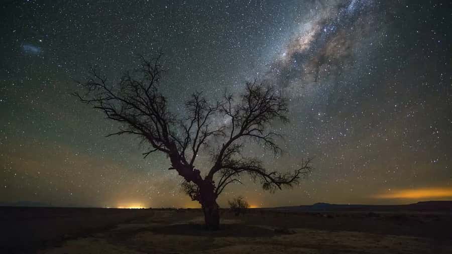 San Pedro de Atacama: Guided Atacama Desert Stargazing Tour - At a Glance