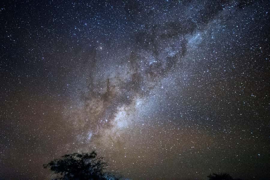 San Pedro de Atacama: Stargazing Experience - Key points to know before you book