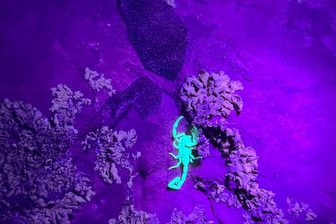 Sedona Night Hike and Stargazing - Why Sedona after dark feels so different