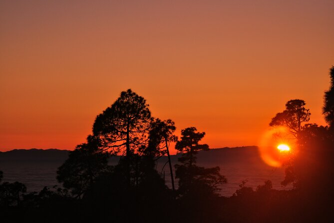 Self Drive Sunset & Stargazing in Teide National Park with Dinner - Who will enjoy this evening most?