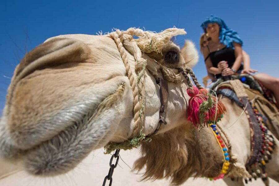 Sharm El-Sheikh: Camel Riding, Stargazing, BBQ Dinner & Show - Bedouin bread in the desert camp
