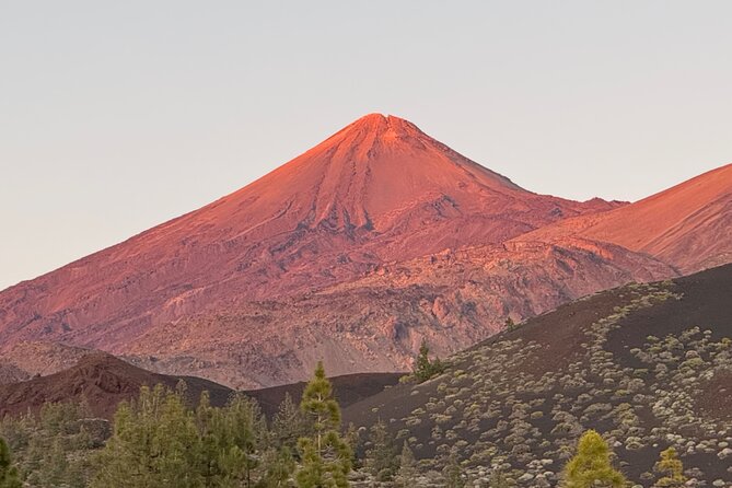 Small Group Teide Stargazing Tour with Picnic at Sunset - Value: more than transport, less than a private evening