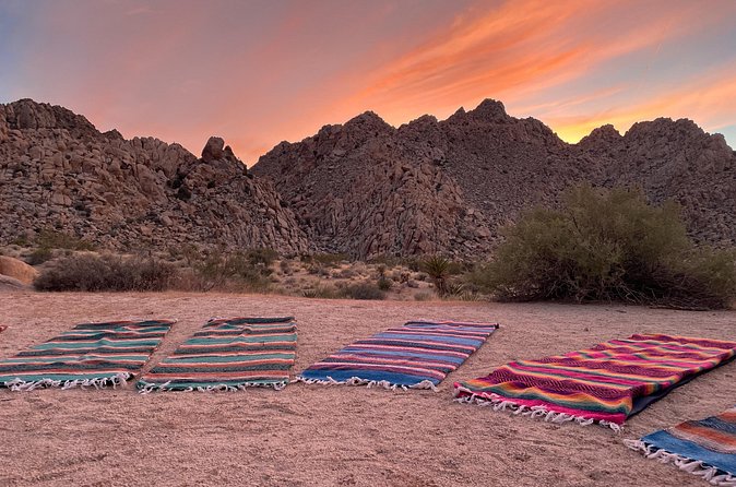 Soundbath Under The Stars-Joshua Tree - Who will enjoy this most