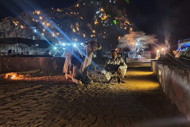 Star Gazing & Bedouin Dinner Trip in Sharm El Sheikh Desert - Guides, families, and the practical details