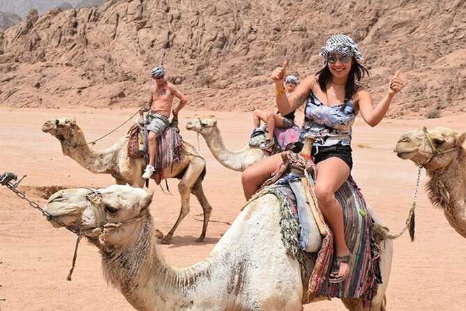 Star Gazing & Bedouin Dinner Trip in Sharm El Sheikh Desert - Habak tea and the bread-making lesson