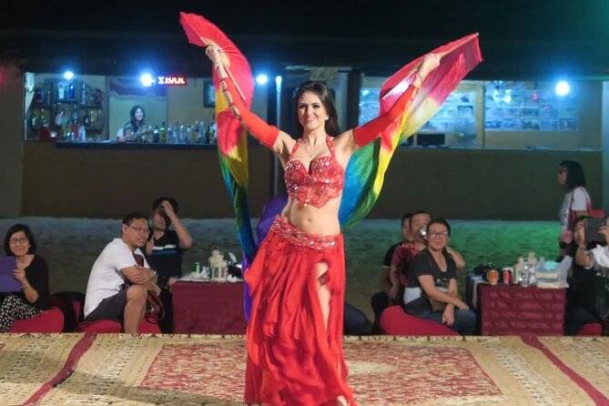 Star Gazing Safari Tour by ATV Quad and Dinner in Sharm El Sheikh - The camel ride and Bedouin village stop