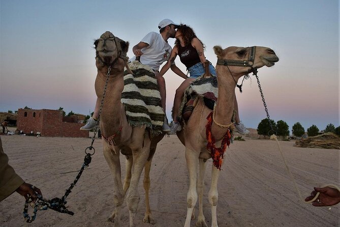 Star Watching in the desert - Camel ride and horse carriage activity