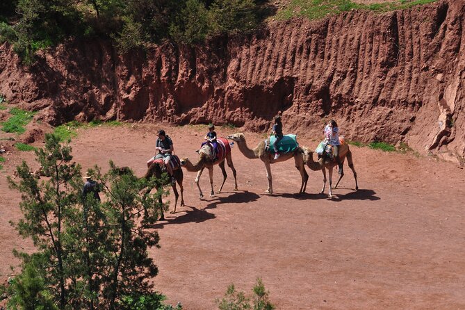 Stargazing and camel ride in the agafay desert - Leaving Marrakech for the Agafay Desert