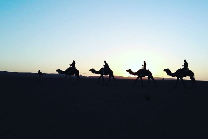 Stargazing and camel ride in the agafay desert - How Abdul shapes the experience