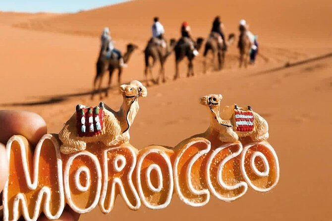 Stargazing and camel ride in the agafay desert - Is $94.24 a fair price?