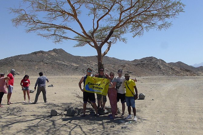 Stargazing Excursion In Hurghada with Jeep 4WD and BBQ - The 20-minute camel ride and sunset stop
