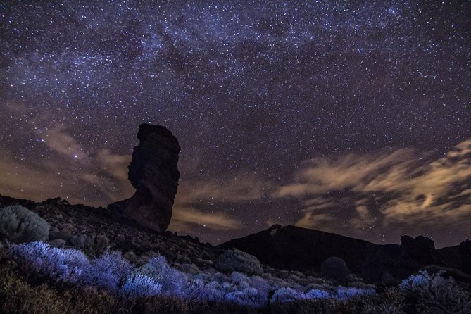 Stargazing Experience with Dinner & Drinks - Dinner at the Canarian restaurant