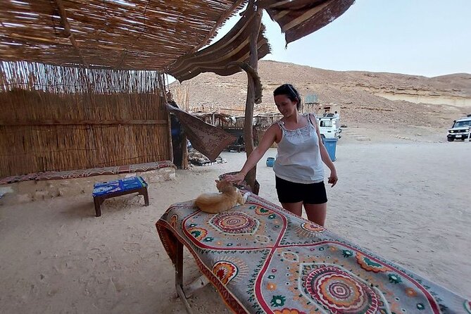 Stargazing in Hurghada Desert with Bedouin Dinner - Leaving Hurghada at 3:30 pm