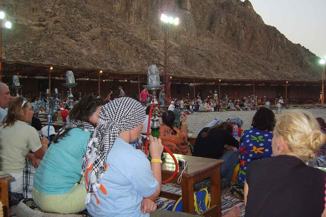 Stargazing in Hurghada Desert with Bedouin Dinner - Camel riding with the right expectations