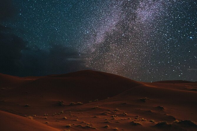 Stargazing in the Desert from Riyadh with Dinner - The possible Bedouin camel-herder meeting
