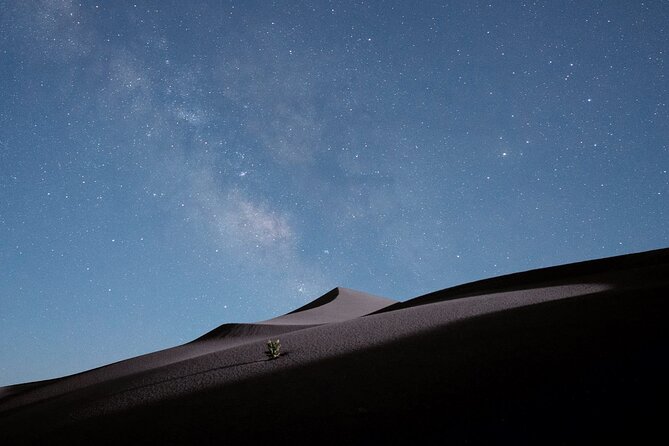 Stargazing in the Desert from Riyadh with Dinner - Who will enjoy this evening most