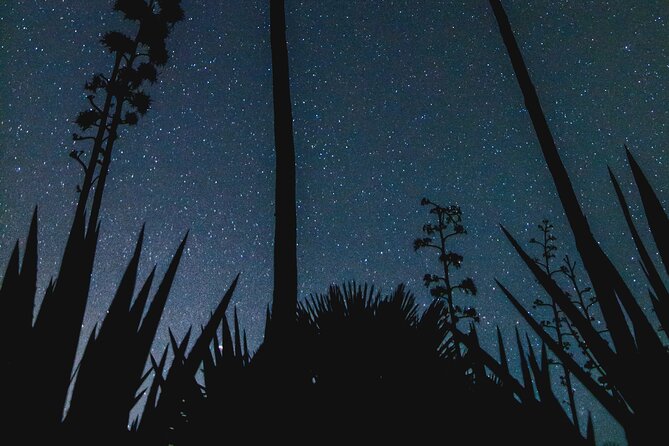 Stargazing Night in the Tabernas Desert - How much value you get for $30.07