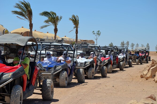 Stargazing Safari Adventure by Jeep with Bedouin Dinner-Hurghada - Key points at a glance