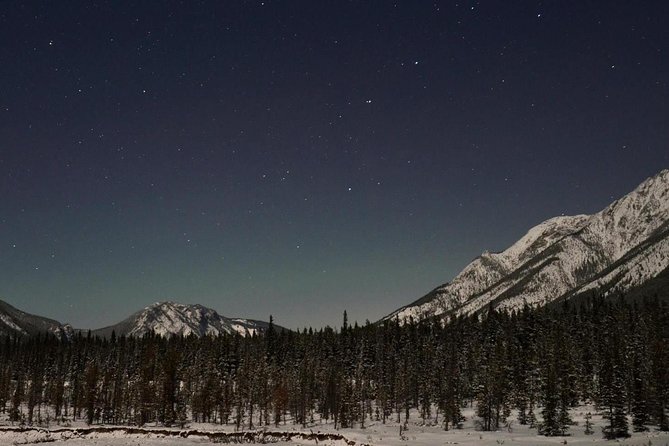 Stargazing Tour - Kananaskis After Dark - The meadow is the real highlight