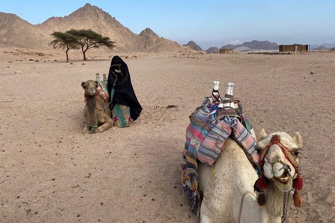 Sunset, Candle Light Dinner & Star Gazing from Hurghada - Telescope viewing after dark