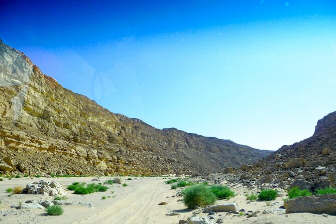 Sunset Desert Experience Canyon, Oasis & Star watching Hurghada - The 35-kilometer run to the oasis